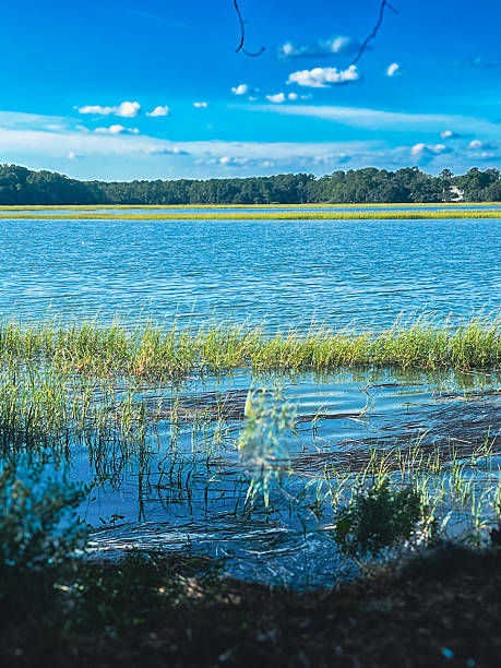 istock Colleton River Okatie South Carolina 2225280132