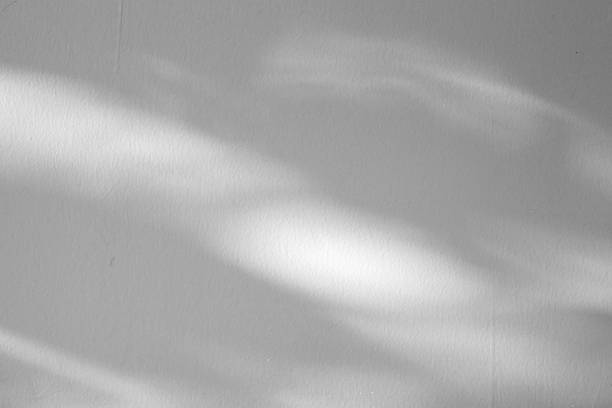 istock Abstract natural tree branch leaves shadow on white wall background 2225282575