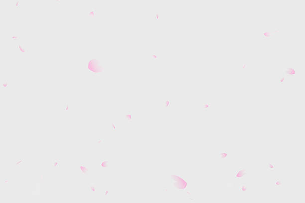 CG image of cherry blossom petals fluttering down on a white background