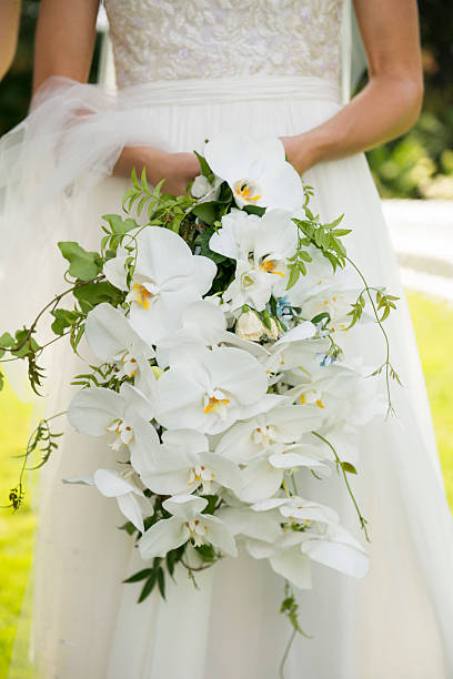 istock Bridal Cascade Bouquet with White Orchids and Greenery 2225291374