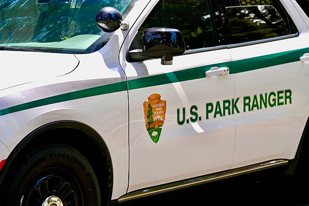 Sequoia National Park, California, USA - May 24, 2025: Close-up view of a United States Park Ranger vehicle parked within Sequoia National Park in Northern California.