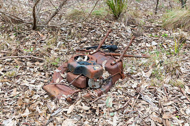 Photograph of an old rusty and destroyed push lawn mower that has been abandoned by the side of a dirt track in a remote forest.