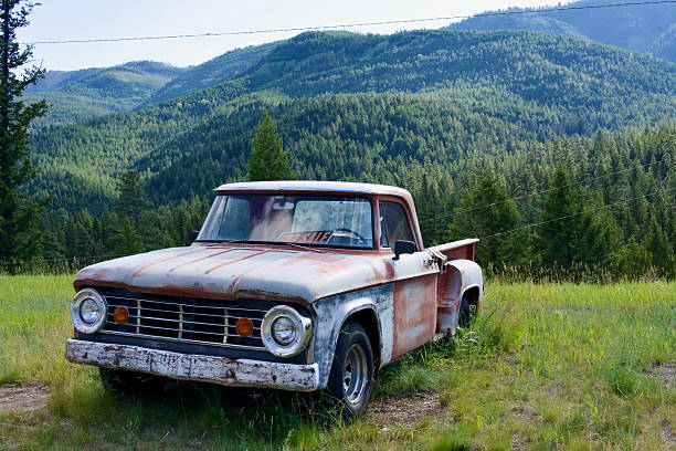 istock Weathered Dodge Pickup in a Mountain Clearing 2225299553