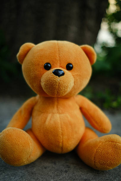 A soft orange teddy bear is positioned on the ground with a backdrop of lush greenery The warm late afternoon light casts gentle shadows creating a peaceful atmosphere around the toy.