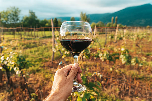 istock Hand Holding Red Wine Glass in Vineyard on a Summer Day 2225309691