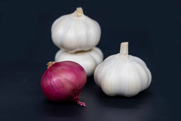 istock Fresh garlic isolated. Big garlic with  a onion on black background. White garlic bulb composition. With clipping path. Full depth of field 2225309698