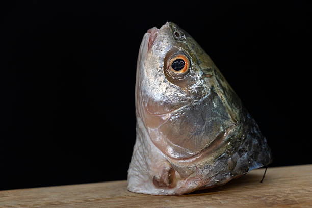 istock Fresh slice Rohu fish head isolated on white background... 2225310108