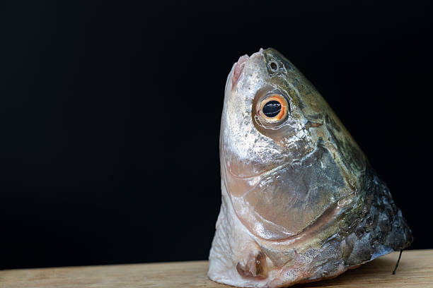 istock Fresh slice Rohu fish head isolated on white background. 2225310633
