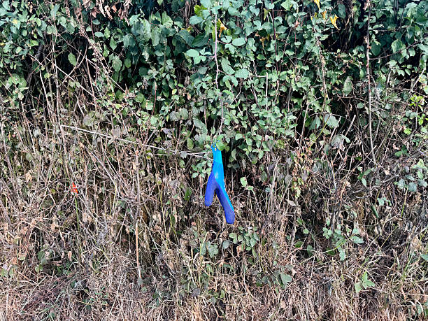 Lost work glove left hanging in a bush on a rural road in Somerset