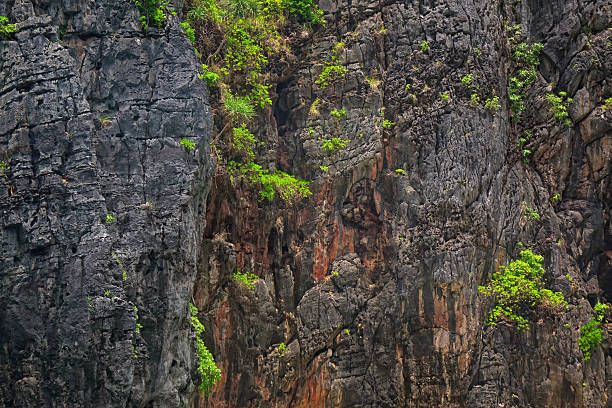 Maya Bay, Ko Phi Phi Lee island, Thailand