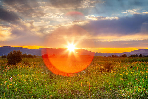 A bright sun creates dramatic lens flare and sunburst effects over a wildflower meadow, with rolling hills and scattered trees silhouetted against a colorful sky of orange, pink, and blue clouds. This scene represents the power of natural light to transform ordinary landscapes into moments of wonder and renewal.