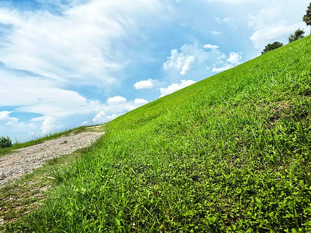 Empty green landscape
