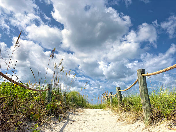 Beautiful nature preserve in Port Saint Lucie Florida.