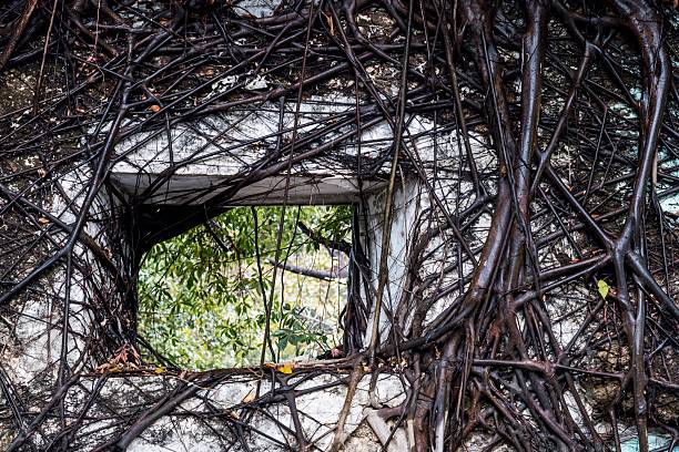 An old, broken window of a rural homestead in Latvia, Europe. Overgrown ruin of collapsed, abandoned house.