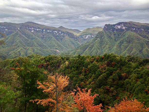 istock Shennong Vally 2225325217