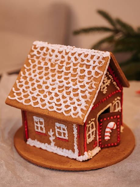 istock Homemade gingerbread house 2225325844