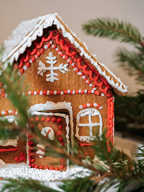 istock Homemade gingerbread house 2225325861