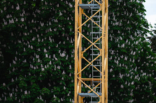 istock Yellow tower crane structure in front of blooming chestnut trees 2225328756