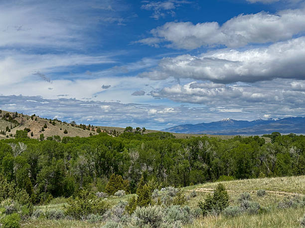 istock Wide Open Prairie Landscape with Distant Snowy Mountains Under a Dramatic Sky 2225332922