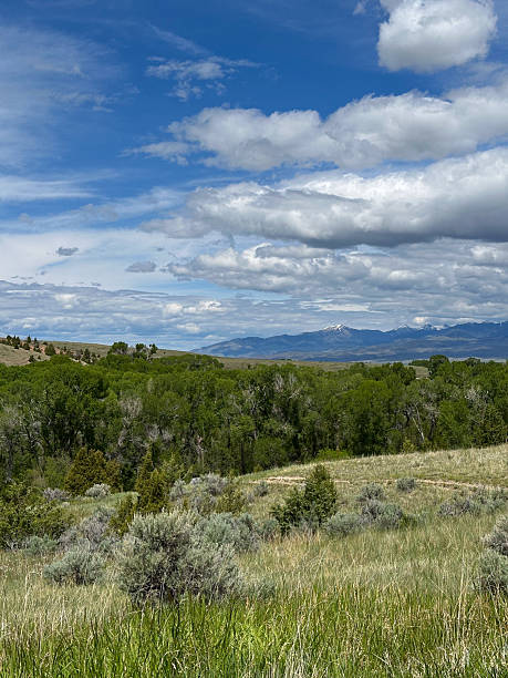 istock Wide Open Prairie Landscape with Distant Snowy Mountains Under a Dramatic Sky 2225332931