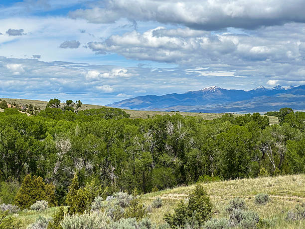 istock Wide Open Prairie Landscape with Distant Snowy Mountains Under a Dramatic Sky 2225332956