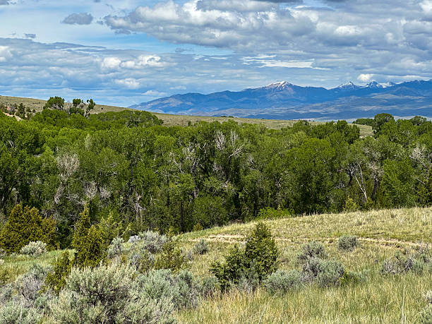 Wide Open Prairie Landscape with Distant Snowy Mountains Under a Dramatic Sky