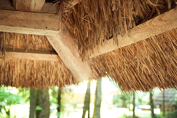 istock Rustic thatched roof providing shade in a serene forest setting during a sunny day 2225338522
