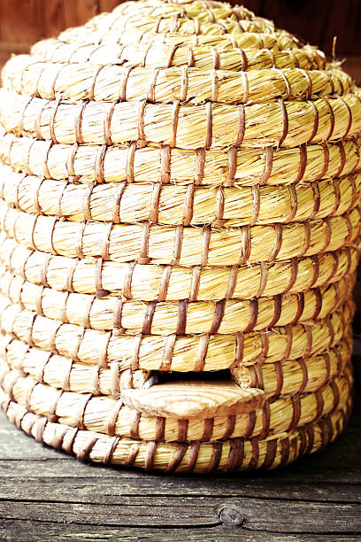 istock Traditional straw beehive used in old-fashioned beekeeping, placed on wooden surface in a rural setting 2225338771