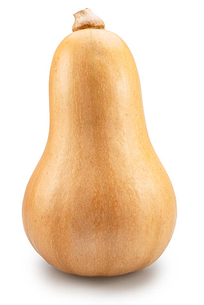 Butternut squash or butternut pumpkin isolated on white background. File contains clipping path.