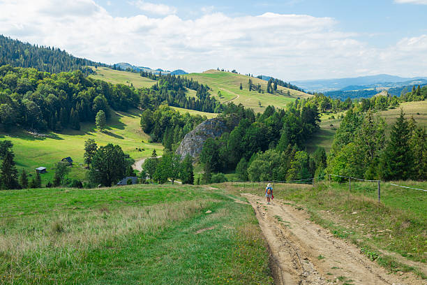 An active senior woman is seen walking alone along a scenic forest path surrounded by lush greenery and mountains. Carrying a backpack and a water bottle, she enjoys a peaceful solo hike in nature.