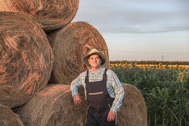istock Rural Man Standing Near Hay Rolls 2225348763