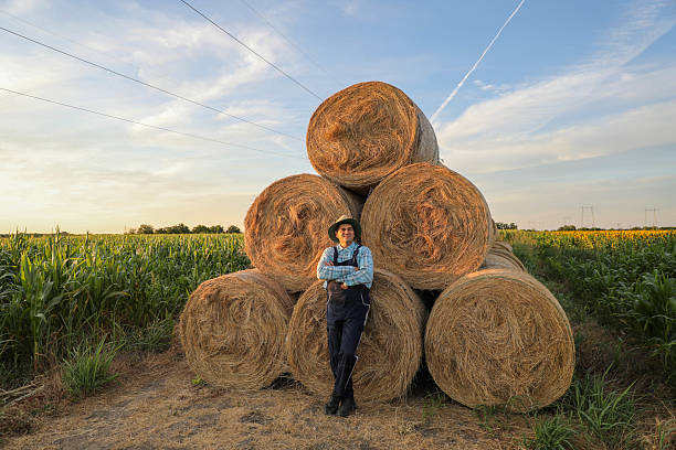 Scary scarecrow in a hat and coat on a evening autumn cornfield during sunset. Spooky Halloween holiday concept. Halloweens background