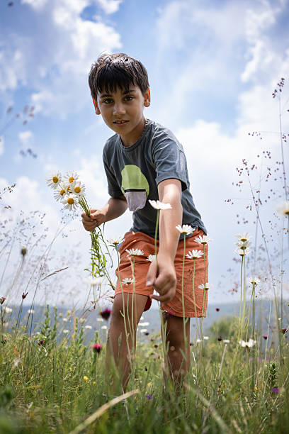 Young boy picking wildflowers in a sunny meadow, surrounded by tall grass and a vibrant blue sky, embodying the joy of nature exploration