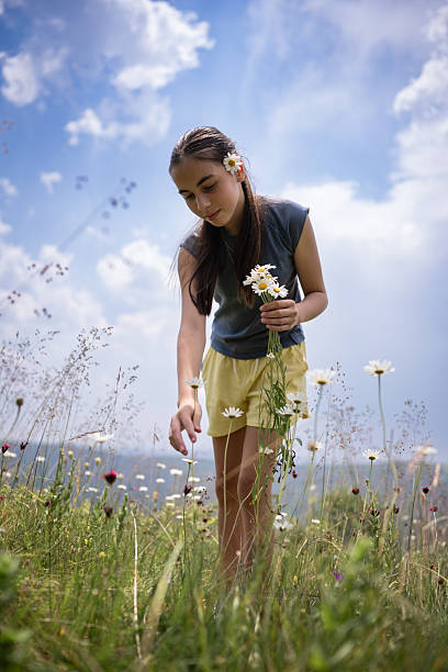 A pretty little girl is picking daisy in a lush meadow at sunset. She's alone in a peaceful natural setting, with a forest in the background. Mother’s day
