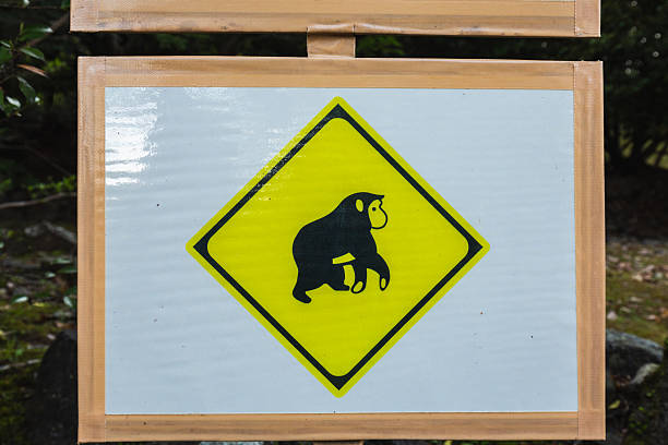 Veira Park,  Oak Bluffs, Martha's Vineyard.  Sign to warn parents against inappropriate behaviour at Softball games.