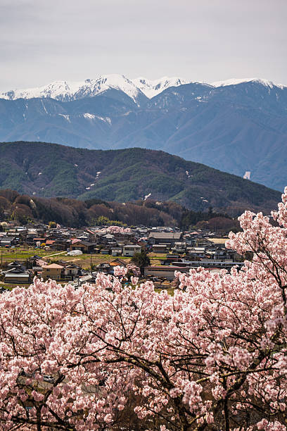 istock Cherry blossoms in full bloom create a stunning foreground, contrasting with a quaint Japanese village nestled in the valley below snow-capped mountains.  A breathtaking spring scene. 2225357645
