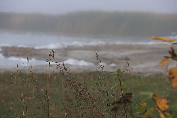 Back road tours in the fog with abandoned places of Canora, Saskatchewan prairies.