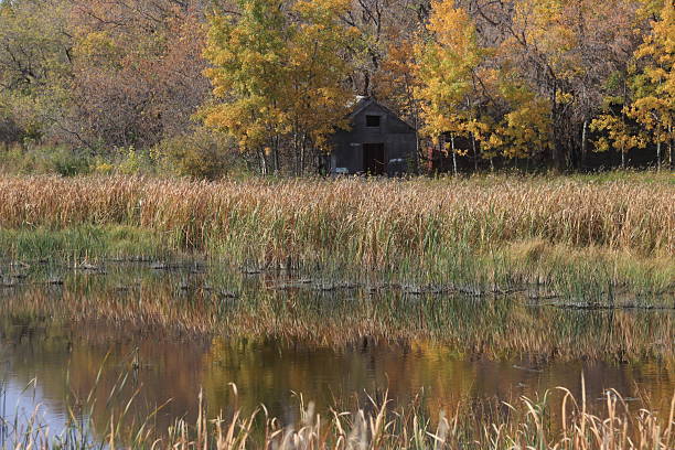 Back road tours in the fog with abandoned places of Canora, Saskatchewan prairies.
