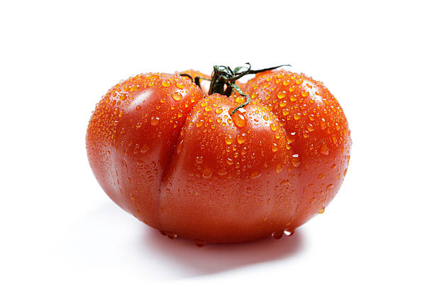 A vibrant red tomato covered in fresh water droplets, captured on a white background. This juicy vegetable illustrates freshness and healthy eating concepts, adding visual appeal. Perfect for culinary, gardening, or nutritional themes.