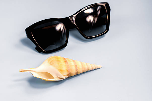 Large sea shell and sunglasses on blue background