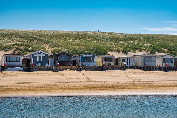 istock On the beach in Egmond aan Zee 2225365885