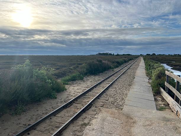 istock Train Tracks on Tavira Island 2225369327
