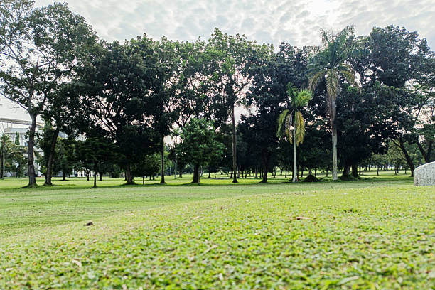 Kericho Golf Course Club  Nairobi Road, Londiani Kipkelion, East Great Rift Valley Kenya Golf Country Club field green grass meadows