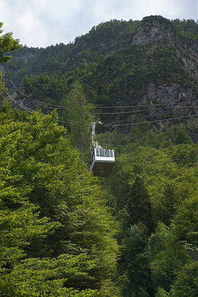 istock A modern cable car glides above lush green trees 2225371205