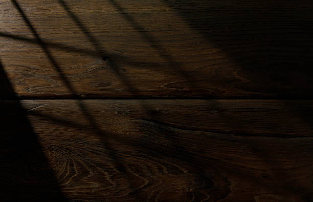 A close-up view of a wooden panel highlighting its intricate texture and natural grain patterns under soft, warm lighting, with dramatic shadows cast over the surface. Perfect for backgrounds, textures, or design inspiration involving organic and rustic themes.