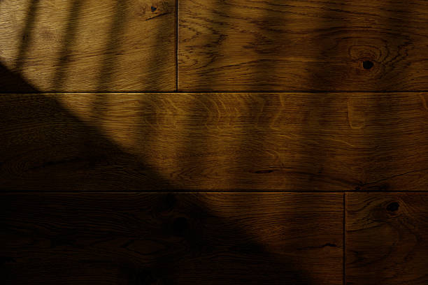 A close-up view of a wooden panel highlighting its intricate texture and natural grain patterns under soft, warm lighting, with dramatic shadows cast over the surface. Perfect for backgrounds, textures, or design inspiration involving organic and rustic themes.