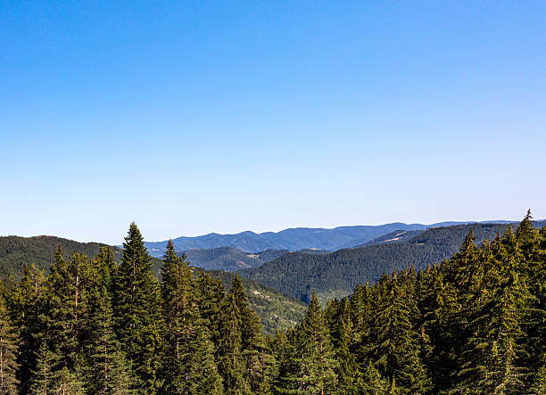 istock Landscape with trees, mountains and empty sky 2225375605