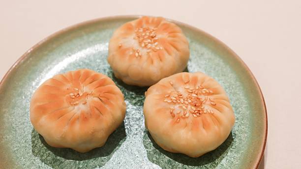 Chinese dim sum pan fried mini pancake bun filled with minced mutton meat on a plate with copy space