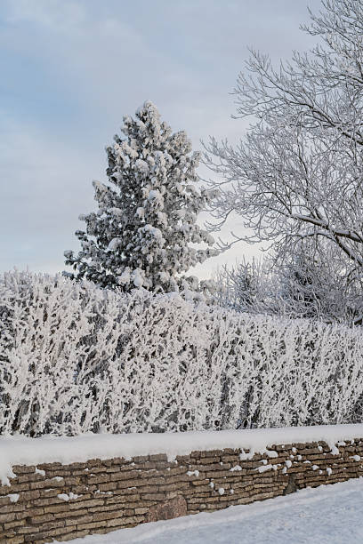 istock Old stone fence covered with deep snow 2225379638