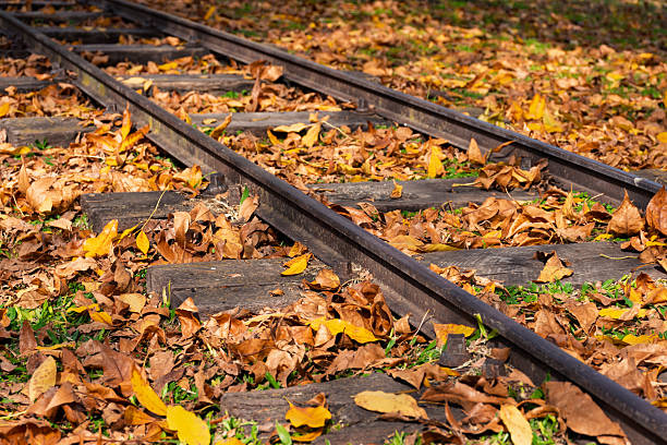 istock Selective focus on railroad tracks in an autumn landscape. 2225385608